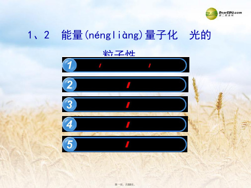 高中物理 17.1.2 能量量子化 光的粒子性课件 新人教版选修35