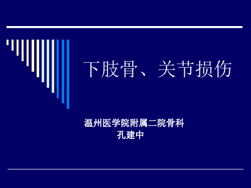 骨科教学课件：下肢骨关节损伤