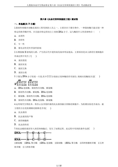 人教版本高中生物必修2第六章《从杂交育种到基因工程》考试测试卷