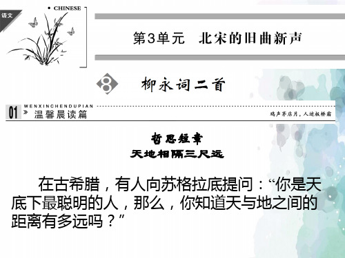 鲁人版语文高二3.8 柳永词二首课件 鲁人版选修《唐诗宋词选读》