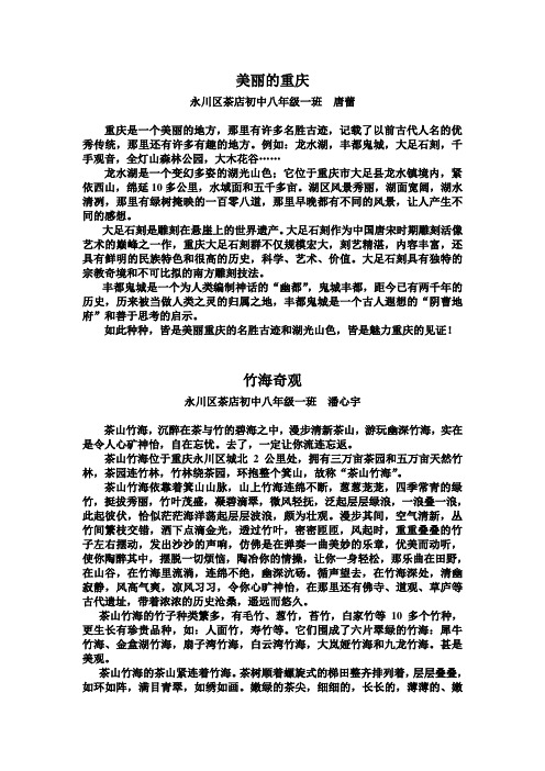 “重庆非去不可”征文