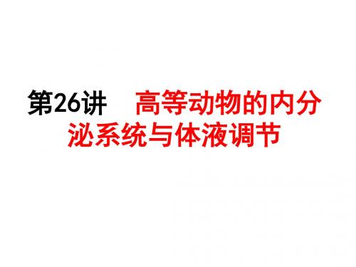 高等动物的内分泌系统与体液调节复习课件