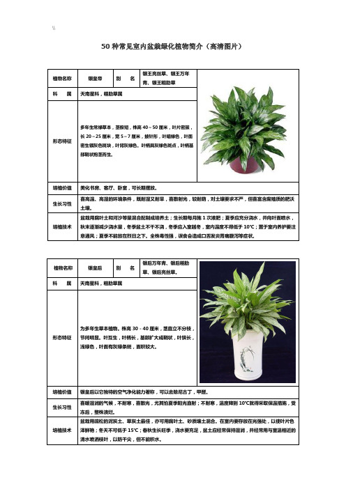 50种常见室内绿化植物介绍(带高清图片)