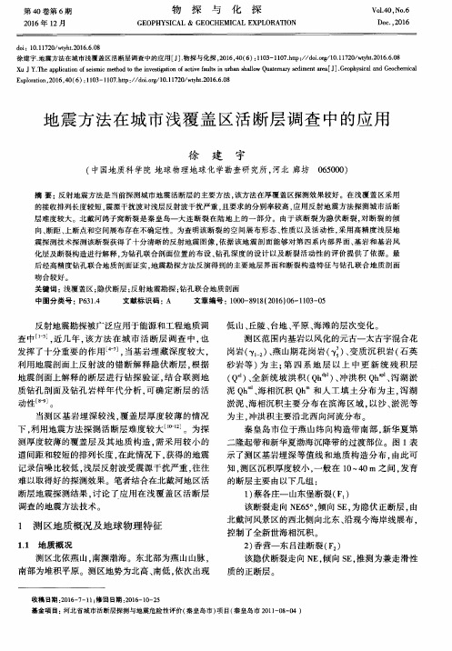 地震方法在城市浅覆盖区活断层调查中的应用