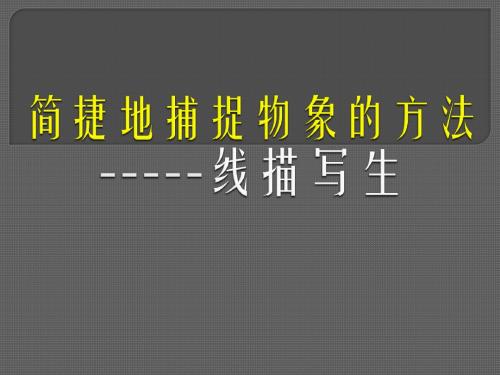 人教版高中美术 第五课 简洁地捕捉物象的方法——线描写生 课件 (4)