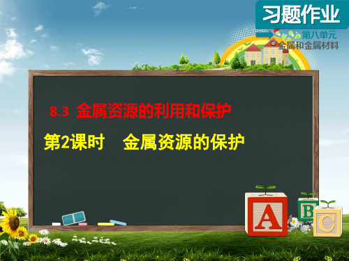 人教版部编教材九年级化学(下册)第8单元第3节金属资源的保护专题训练课件PPT