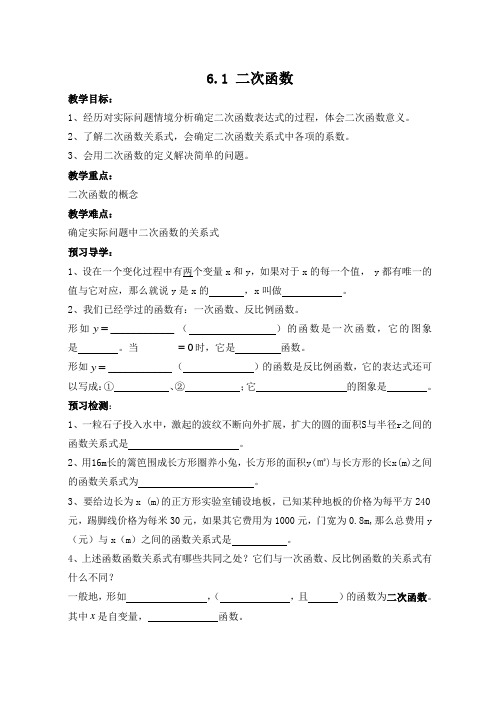 新苏科版九年级数学下册《5章 二次函数  5.1 二次函数》教案_6
