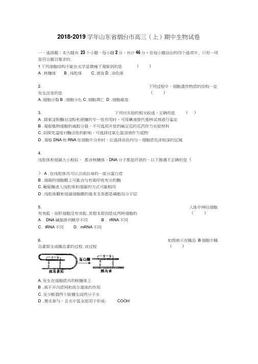 山东省烟台市2019届高三生物上册期中试题