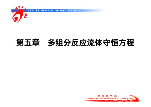 西工大燃烧学课件