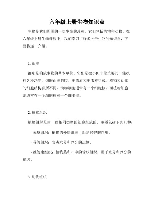 六年级上册生物知识点