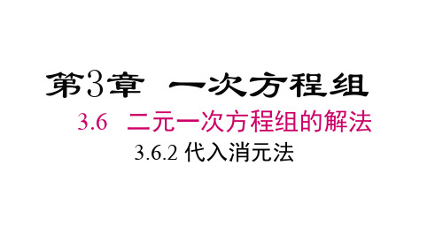 3.6.2 加减消元法 课件(共20张PPT)  湘教版七年级数学上册