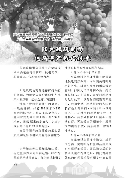 阳光玫瑰葡萄优质丰产栽培技术