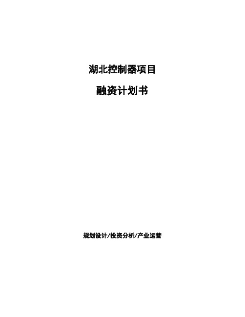 湖北控制器项目融资计划书