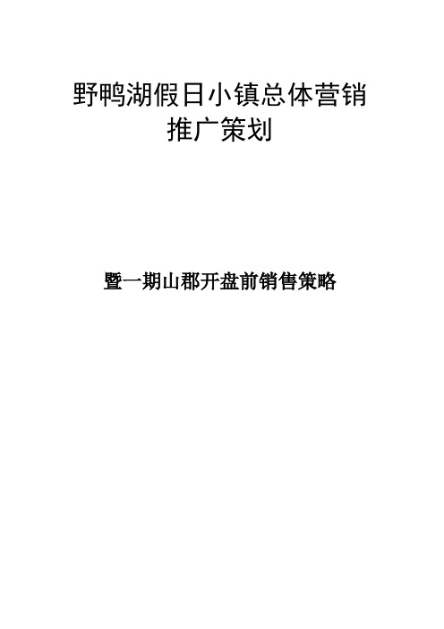 假日小镇总体营销山峮销售策略全案