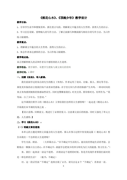 【教学设计】《桃花心木》、《顶碗少年》_语文
