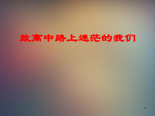 致高中路上迷茫的我们ppt课件