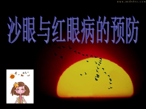 沙眼与红眼病的预防PPT课件