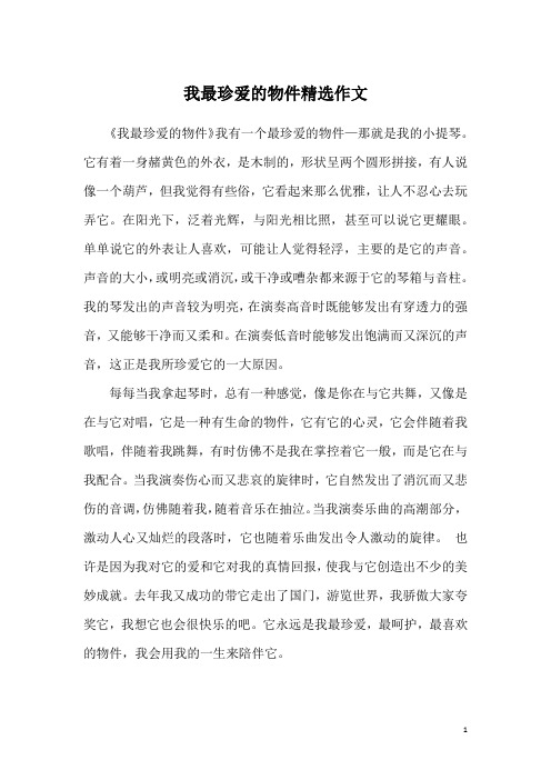 我最珍爱的物件精选作文