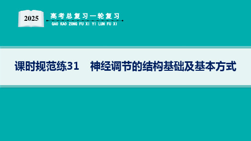 2025高考总复习一轮生物学配人教版(适用于新高考新教材)ppt 第8单元 稳态与调节 课时规范练3