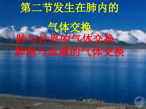 2020-2021学年七年级下学期人教生物第四单元第三章第二节发生在肺内的气体交换