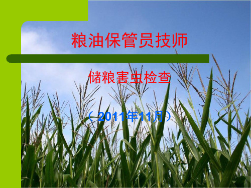 储粮害虫检查