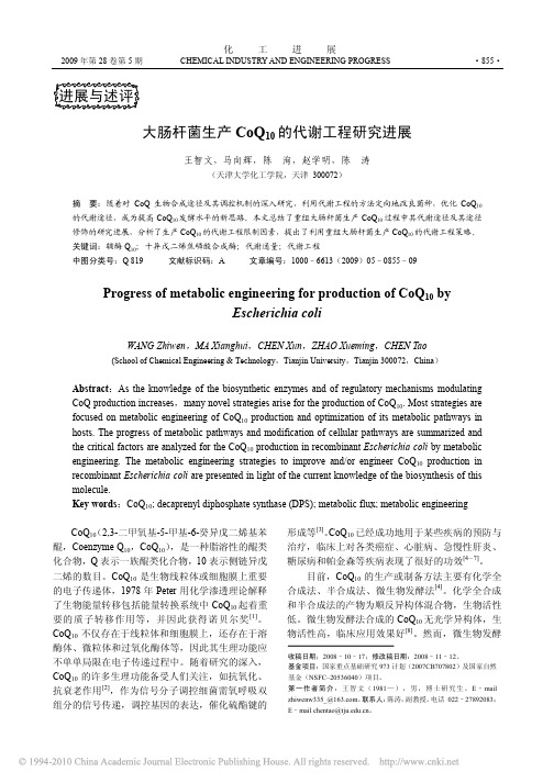 大肠杆菌生产CoQ_10_的代谢工程研究进展