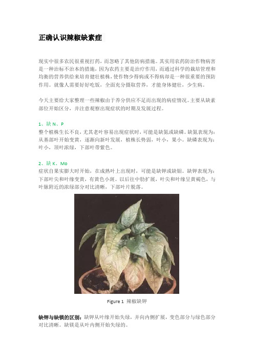 正确认识辣椒缺素症