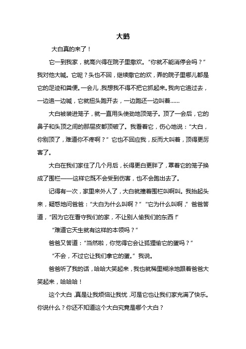 四年级作文：描写鹅的作文600字