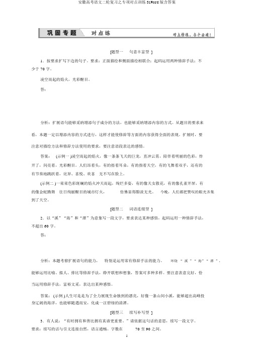 安徽高考语文二轮复习之专项对点训练31Word版含答案