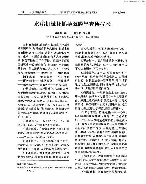 水稻机械化插秧双膜旱育秧技术