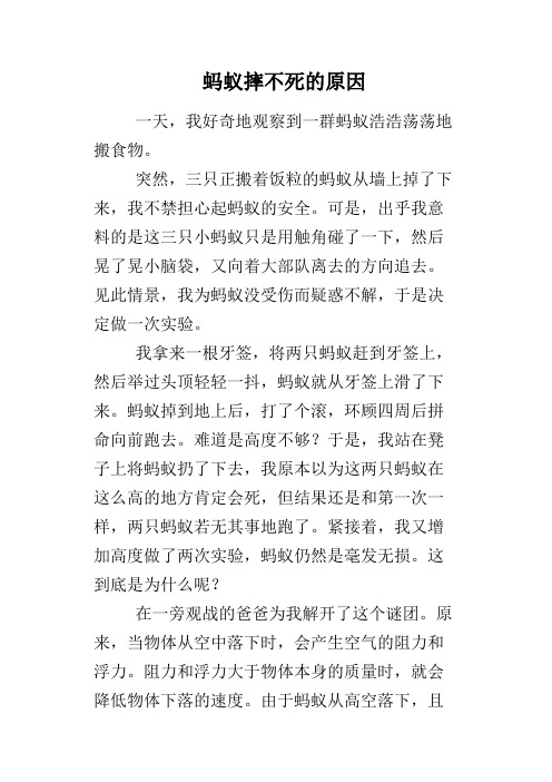 蚂蚁摔不死的原因