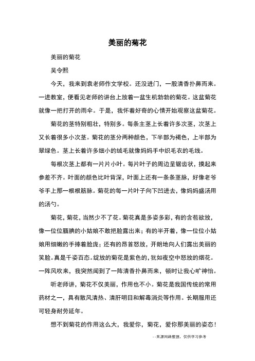 美丽的菊花_小学三四年级状物_1