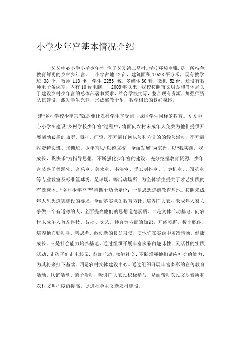 小学少年宫基本情况介绍