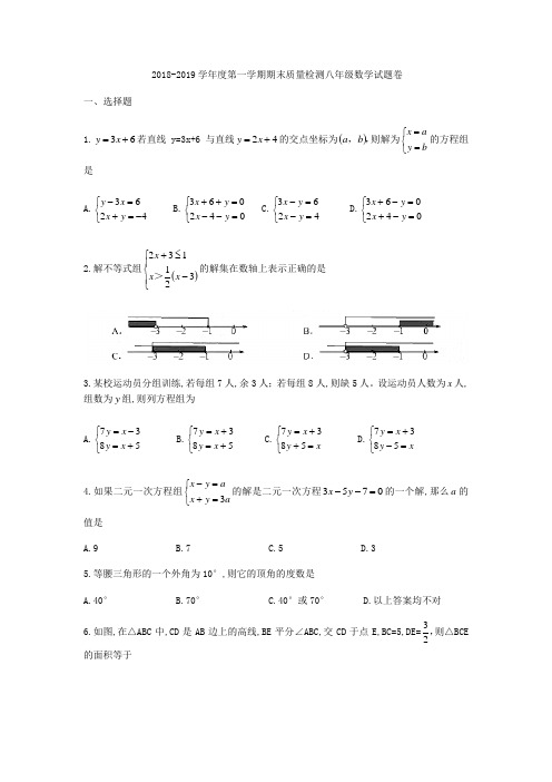 广东省深圳市深圳外国语学校2018-2019学年八年级上期期末质量检测数学试题(无答案)