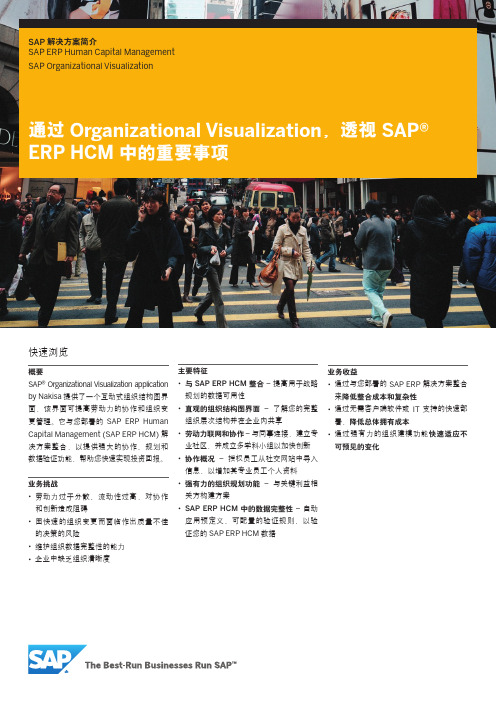 SAP解决方案简介