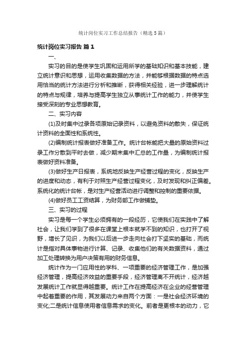 统计岗位实习工作总结报告（精选5篇）