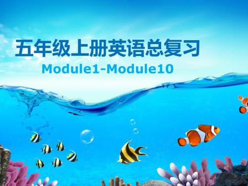 五年级英语上册总复习6-10(外研版)全面版