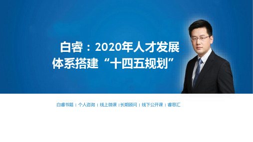 2020年人才发展体系搭建“十四五规划”