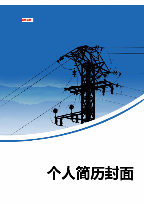 精美求职简历模板 (317).doc