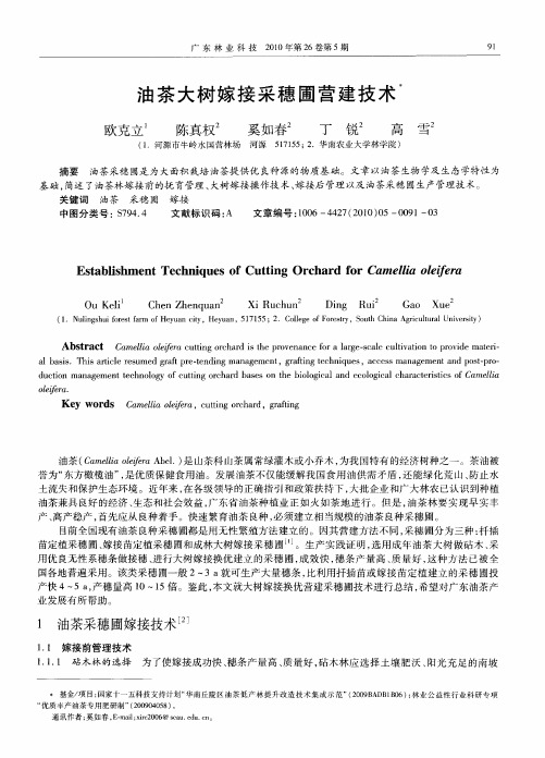 油茶大树嫁接采穗圃营建技术