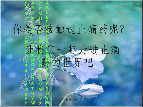 《止痛药阿司匹林》PPT课件