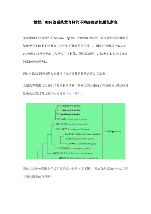 教程：如何给系统发育树的不同部位添加颜色渐变