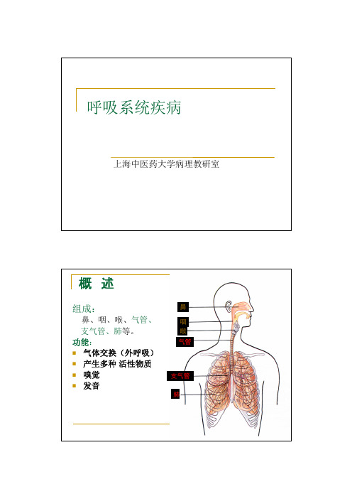 中医《病理学》资料-呼吸系统疾病