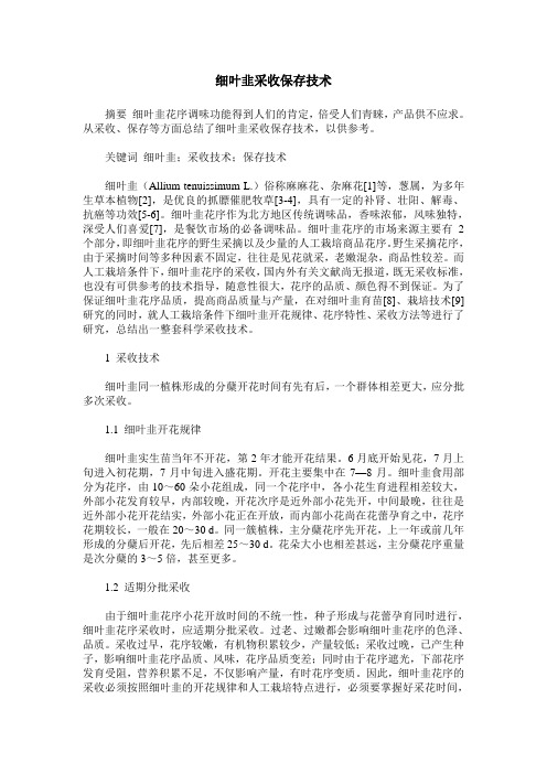 细叶韭采收保存技术