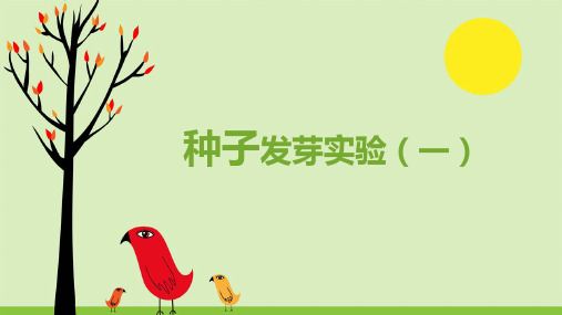 五年级上册科学课件-1.1种子发芽实验(一)教科版(共10张PPT)
