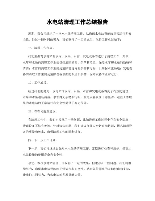 水电站清理工作总结报告
