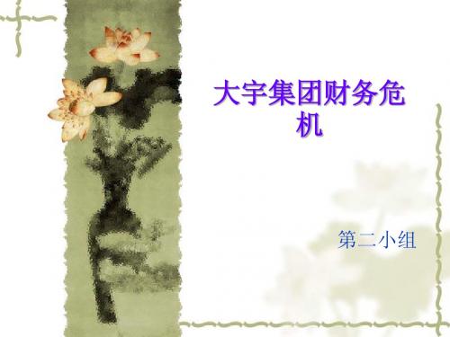 大宇集团财务危机