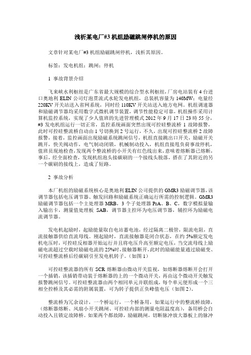 浅析某电厂#3机组励磁跳闸停机的原因