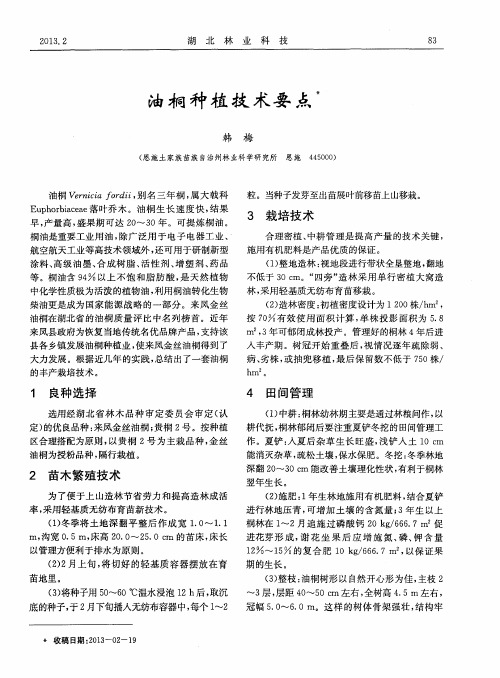 油桐种植技术要点