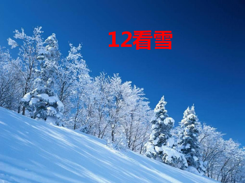 二年级语文上《看雪》599PPT课件 一等奖名师公开课比赛优质课评比试讲